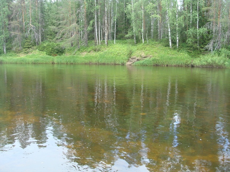 Денис Спиридонов фотография #10