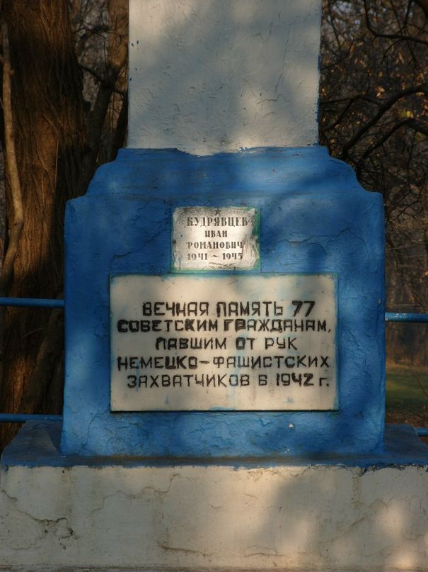 Дмитрий Совкин фотография #42