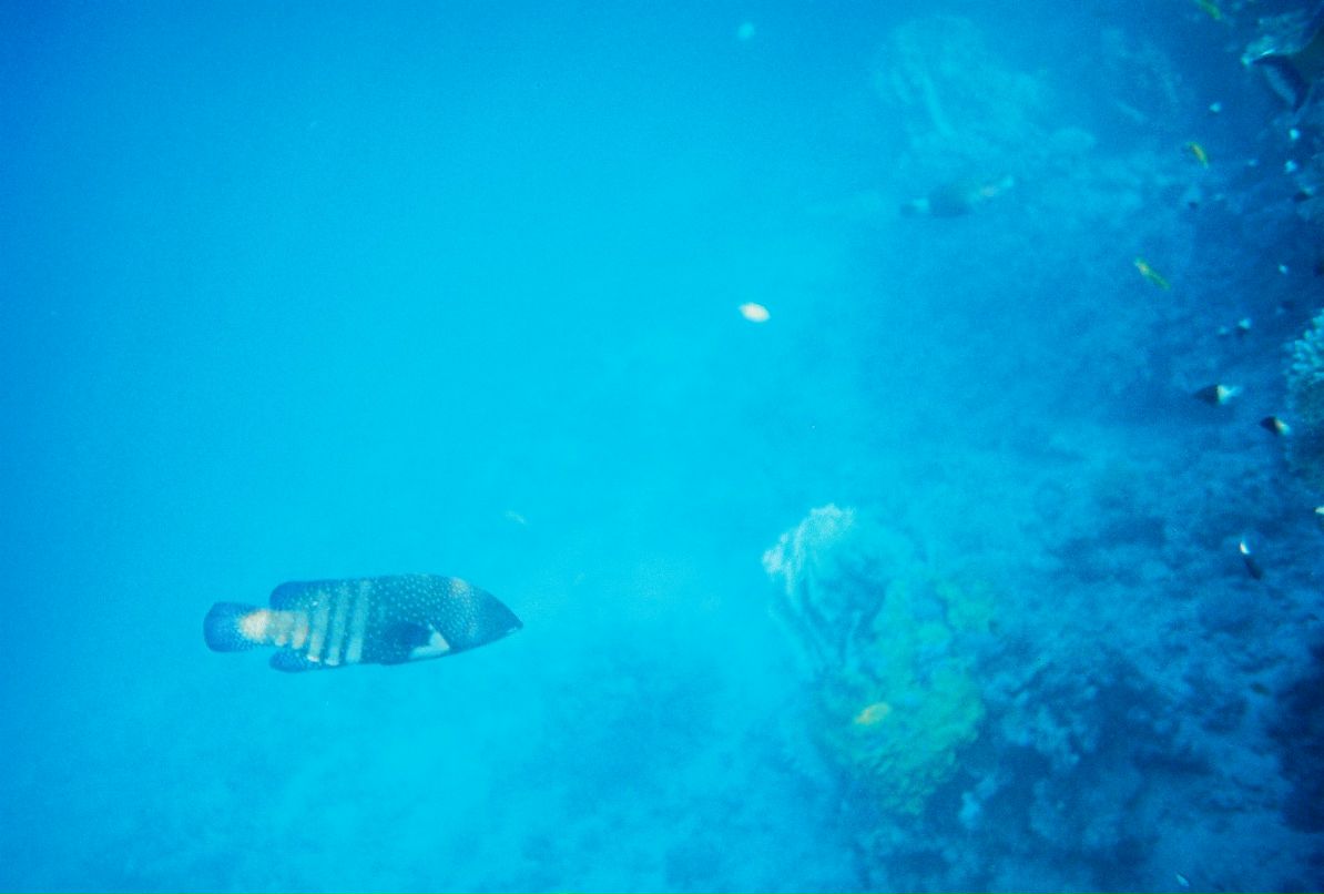 Александр Кадыкеев фотография #40