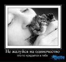Катюшка ***♣*** фотография #16 (источник - https://vk.com/id125139006)