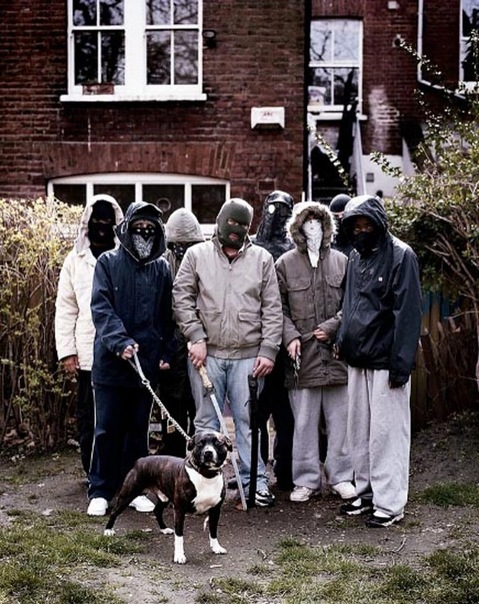 871 Squaad фото №44