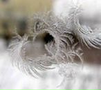 Фотография Мовчан Юлии