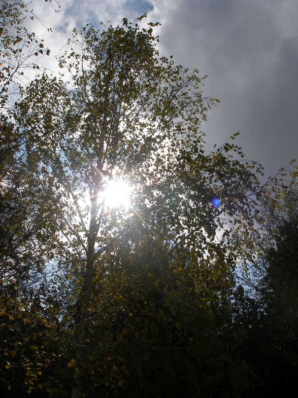 Тоха Тоха фотография #16