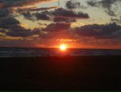 Фотография Tetenova Olga