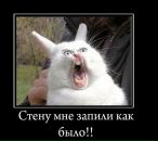 Фотография Солодова Надежда