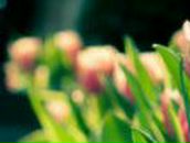 Наталя Якимів фотография #34 (источник - https://vk.com/id28335437)