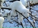 Фотография Каменевой Татьяны
