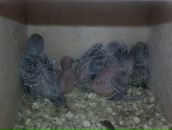 Евгений Кабин фотография #9 (источник - https://vk.com/id6736668)