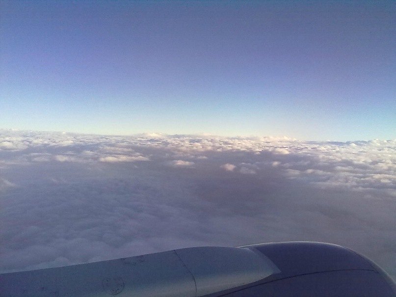 Федор Просто фотография #21