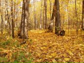 Фотография Мудревской Анастасии