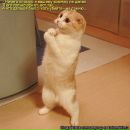 Фотография Рявкина Александра