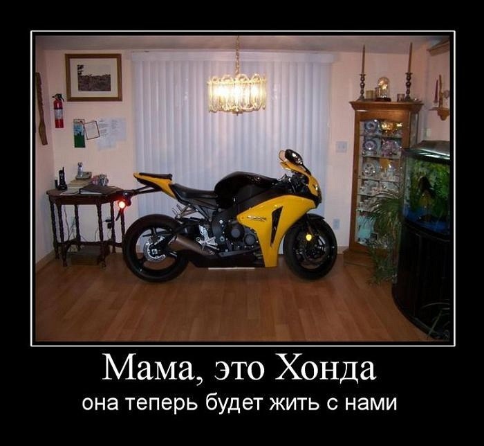 Макс Needwin фотография #29