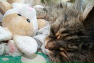 Фотография Вельк Анны