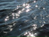 Фотография Бенгерт Анастасии