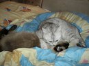 Сергій Шевченко фотография #48 (источник - https://vk.com/id158814507)