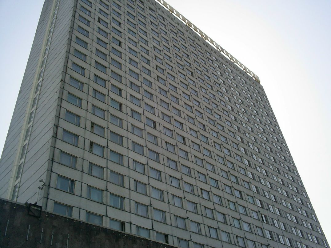 Кот Бегемот фотография #11