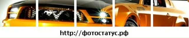 Андрій Мацур фотография #8 (источник - https://vk.com/id69588303)