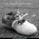 Танюшка Оксінчук фотография #11 (источник - https://vk.com/id131472061)