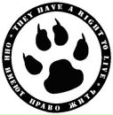 Наташа Іванець фотография #24 (источник - https://vk.com/id146758143)