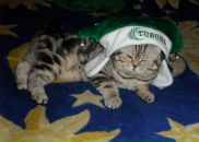 Фотография Самохиной Юльчик