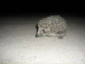 Коля Гусев фотография #11 (источник - https://vk.com/id83095469)