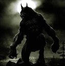 Дмитрий Шеремет фотография #1