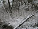 Ігор Панасенко фотография #26 (источник - https://vk.com/id30625196)