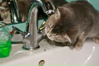 Фотография Высочанской Натальи