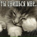 Міша Гоцуляк фотография #24 (источник - https://vk.com/id111213631)