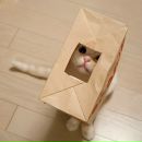 Фотография Андреевой Дины