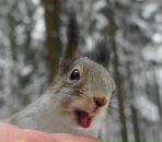 Фотография Кузьминой Елены