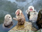 Фотография Зайцева Андрея