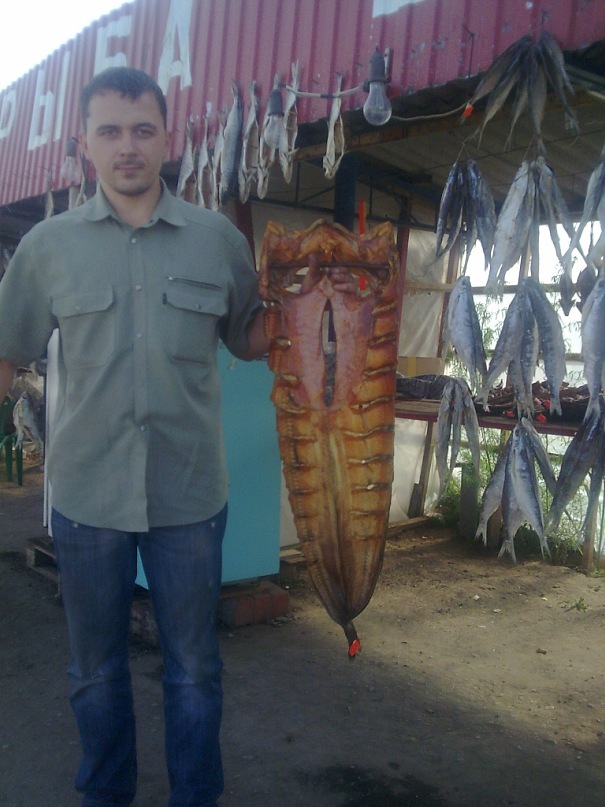 Дмитрий Гальченко фотография #42