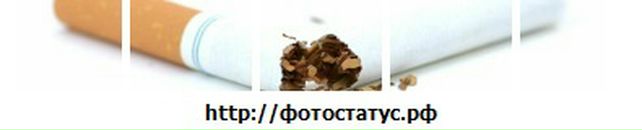 Алмаз Давлетшин фотография #42 (источник - https://vk.com/id12371575)