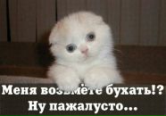 Фотография Камординой Ольги