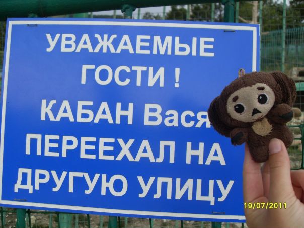 Че Бурашка фото №10