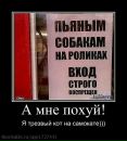 Валєра Пшеничний фотография #27 (источник - https://vk.com/id59249239)