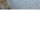 Олеся Матвійчук фотография #47 (источник - https://vk.com/id50923906)