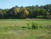 Віталій Панасюк фотография #22 (источник - https://vk.com/id67183575)