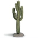 Фотография Зайцевой Анны