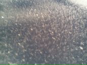 Фотография Ведерникова Игоря