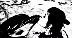 Фотография Звягин Андрей