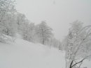 Юлія Вербовицька фотография #33 (источник - https://vk.com/id49526237)