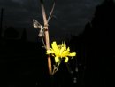 Игорь Солкин фотография #18 (источник - https://vk.com/id19484203)