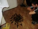 Ельвін Новрузов фотография #11 (источник - https://vk.com/id37941944)