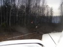 Фостер Светлые_истоки фотография #24 (источник - https://vk.com/id29935141)