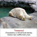 Дмитрий Клименко фотография #4 (источник - https://vk.com/id3284414)