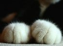 Фотография Терентьевой Надежды