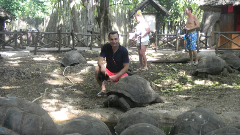 Oguz Saka фотография #34