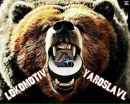 Фотография Гречухина Александра